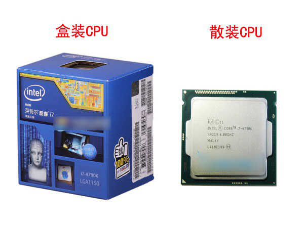 CPU盒裝和散裝哪個好？cpu散裝與盒裝的區(qū)別對比介紹