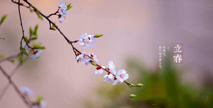 2018春节怎么发微信朋友圈 2018年微信春节祝福语大全
