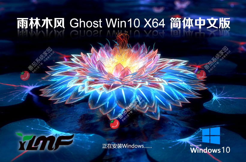 雨林木風(fēng)Ghost Win10企業(yè)版下載 64位極品安裝版 戴爾筆記本專(zhuān)用下載