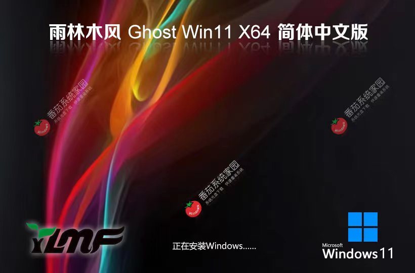 雨林木風(fēng)win11最新娛樂(lè)版 64位簡(jiǎn)體中文版下載 Ghost 免激活工具下載