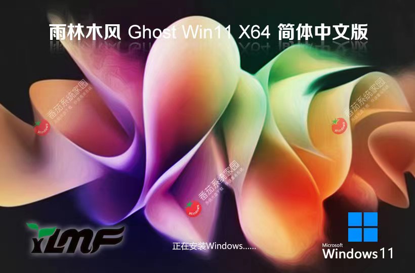 雨林木風(fēng)win11專(zhuān)業(yè)版 x64位免激活工具下載 GHOST鏡像 筆記本專(zhuān)用下載
