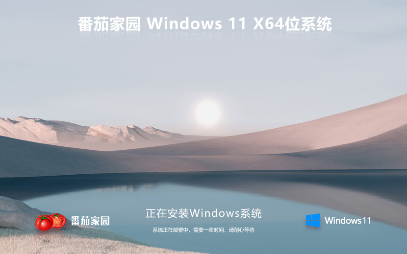 番茄花園 Win11 23H2 64位 精簡(jiǎn)專業(yè)版系統(tǒng)ISO鏡像