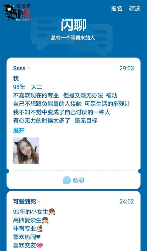 迷路貓