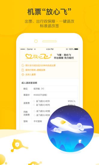 飛豬