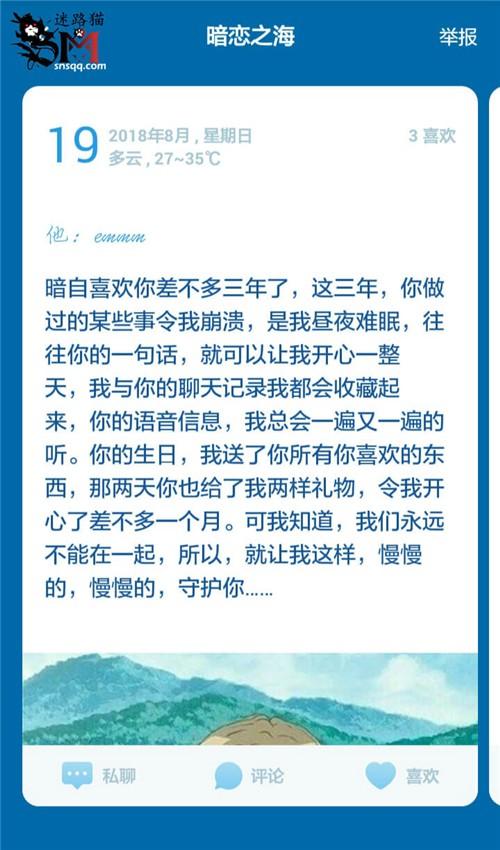 迷路貓