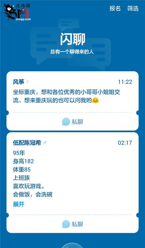 迷路貓