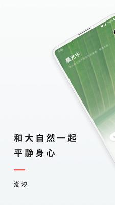 Tide全音頻應用