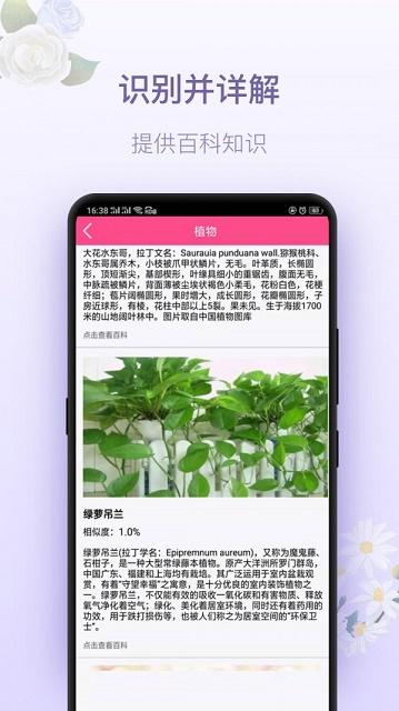 拍照識(shí)花