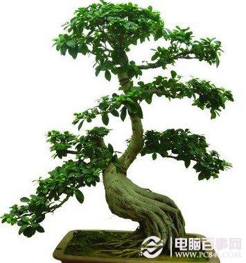 九個電腦族保健與保護眼睛妙招