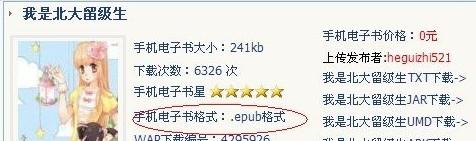 iBook支持什么格式
