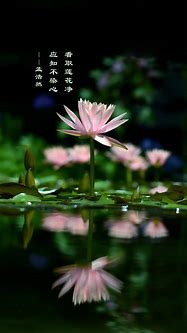 華為手機(jī) mtp win7